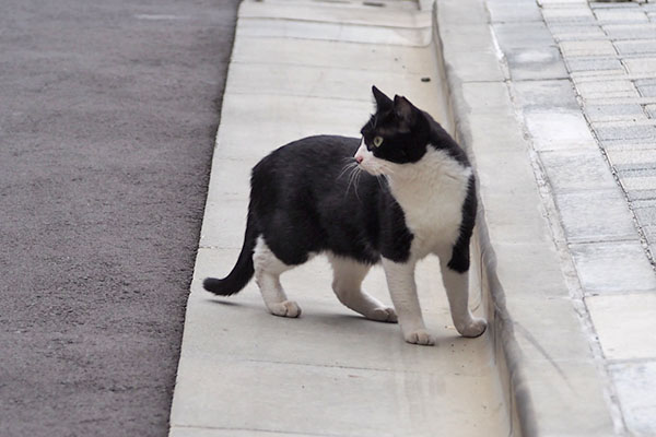 こまち　また横見てる