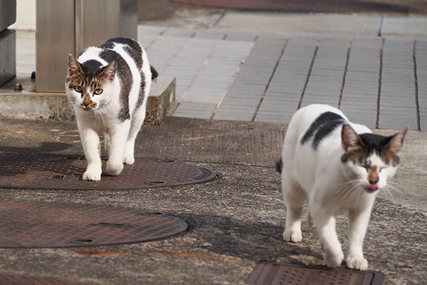 セイはゆっくり