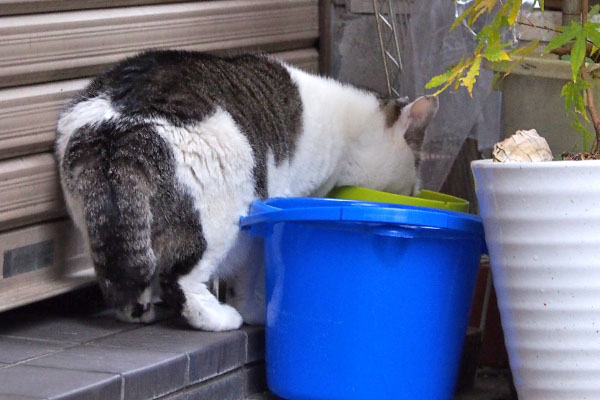 気にせず食べる　ケイ