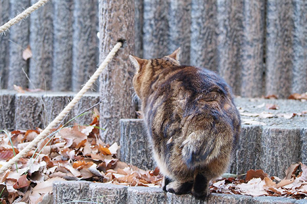 上に　考えてる　クラタン