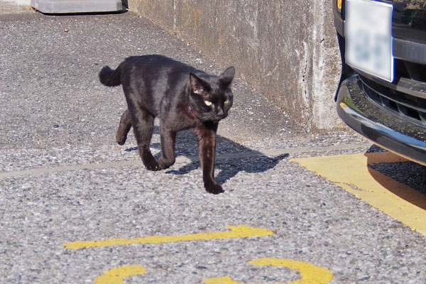 一緒に帰る　モノタ