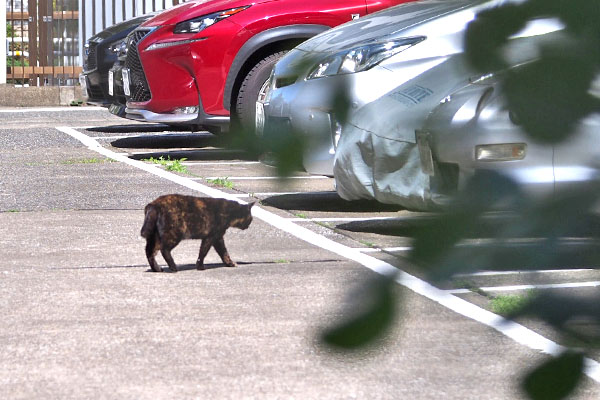 カラー　目的地はそこか