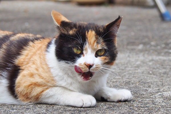 lemon face with tongue