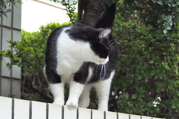 出て来た　まこ　後ろ気になる