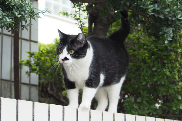 来そうで来ない　まこ