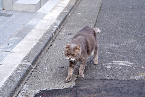 グリ　戻りますよー