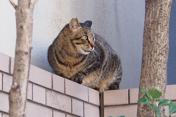 会社の出入り口　シマヲ