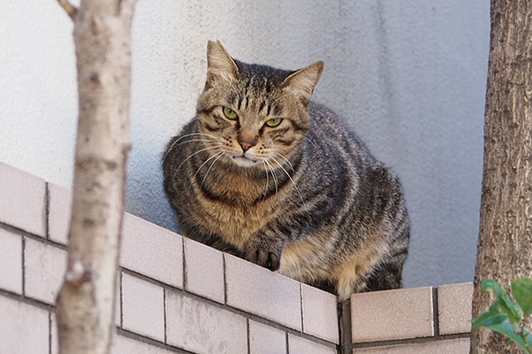 撮るヒト確認　シマヲ