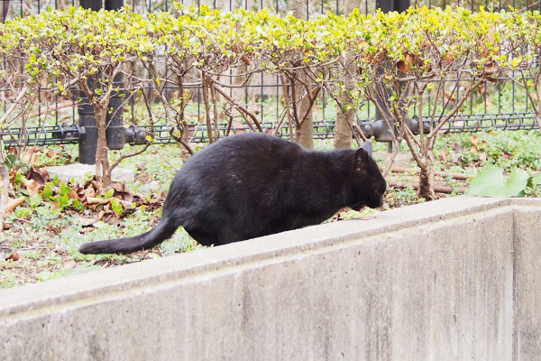 キト　オヤツ食べる