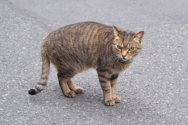 制止すると　らい太