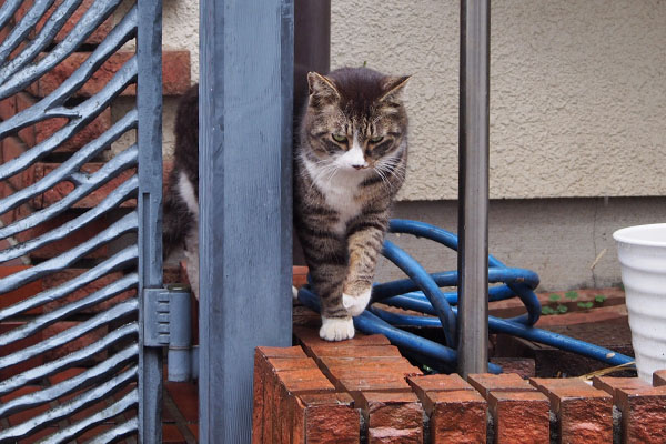 アシメ　少し気にする