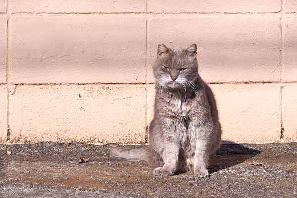 guri top sunbath