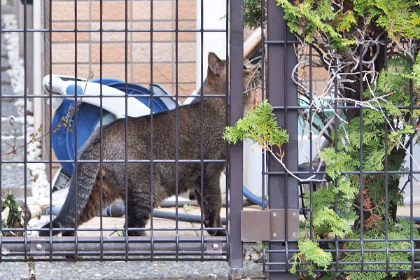 アビ　そこ大丈夫