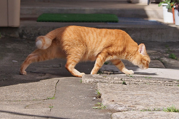 ソラちゃん　何かに気付く