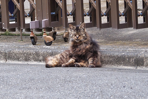 タッチーをみつけた