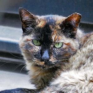 ロミ　優しい目で見てる