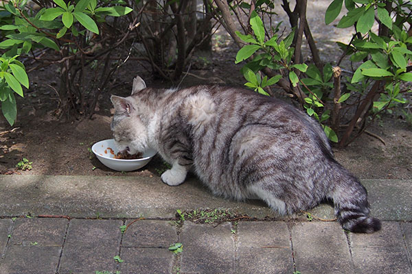 クロム　食べる