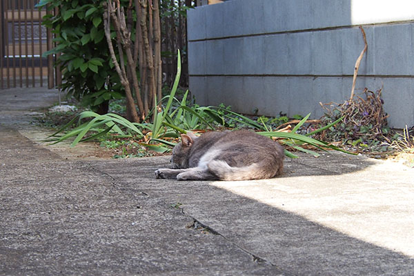 グリ　休憩中