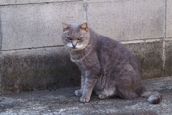 グリ　食べました