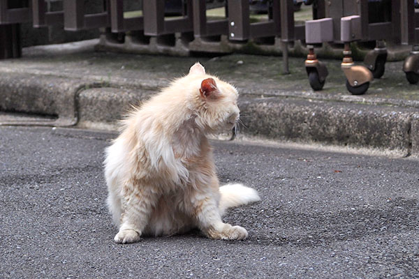 ナリコ　振り向く