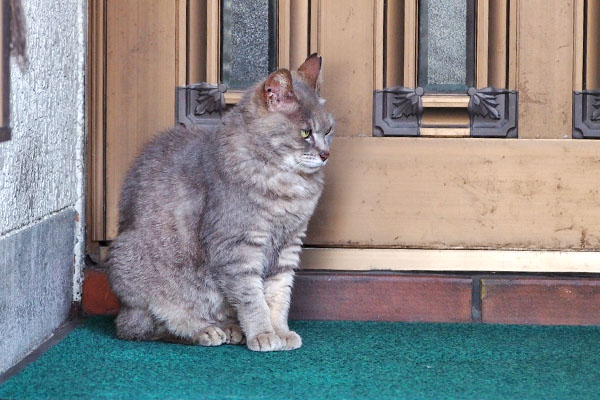 シピ　見ません