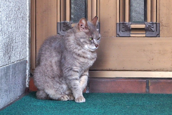 シピ　左手上げた