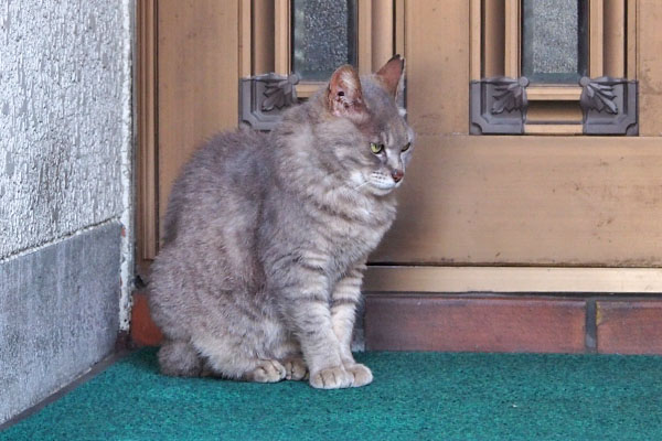 シピ　ニヤリな顔