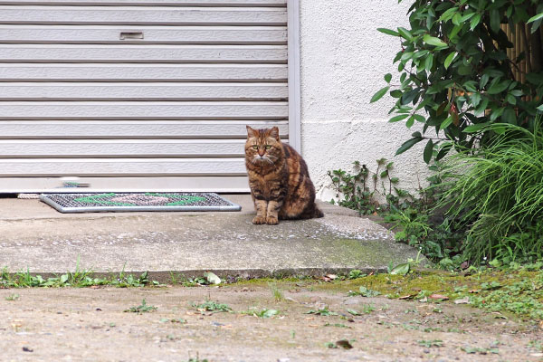 クラタン　下に居た