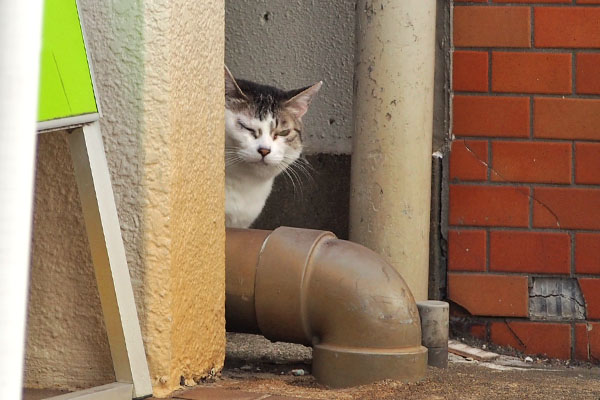 ケイ　早く居なくなれ