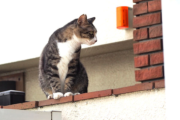 アシメ　横向く