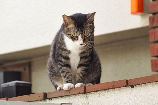 アシメ　下を見る