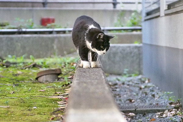 ポチ　下が気になる