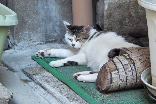 ケイ　寛ごうとしてた