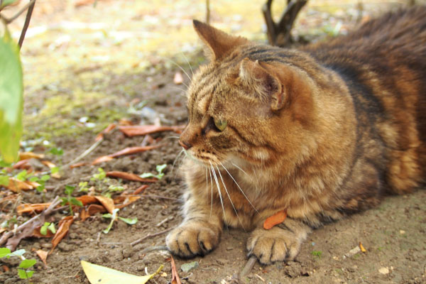 クラタン　写真撮るなら休憩する