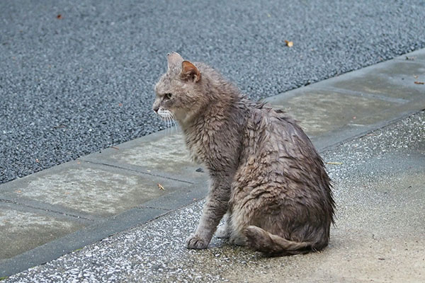 グリ　いつまで撮ってる