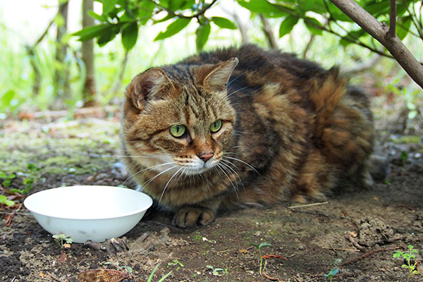 クラタン　完食