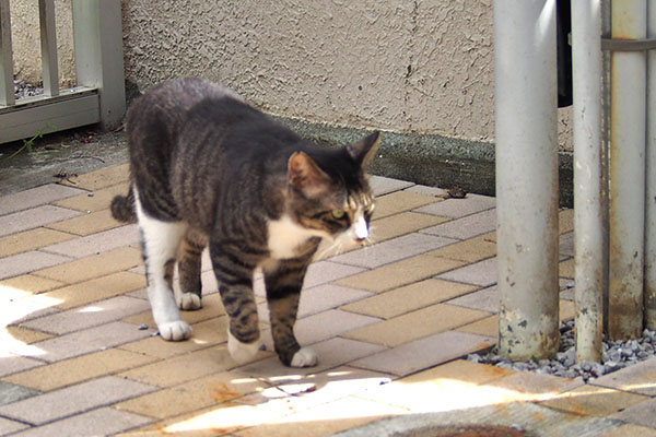 アシメ　近くに