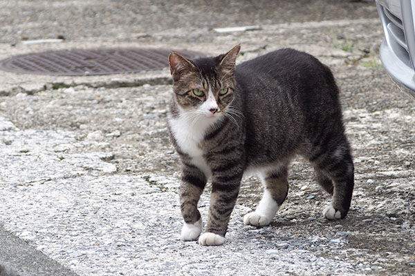 アシメ　視線を外し