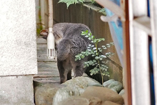 シピ　移動してる