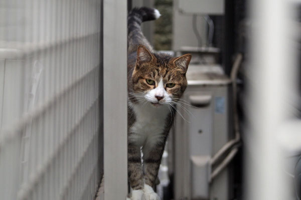 サーヤ　ちょっと落ち着いた