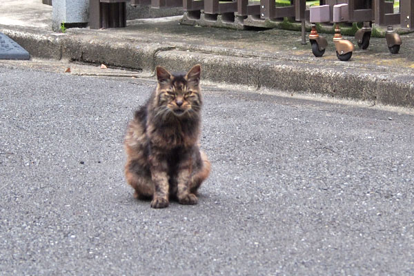 タッチー　それではボクも