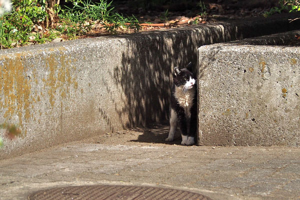 ポチ　出て来た