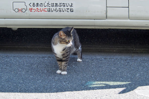 周囲の確認　アシメ