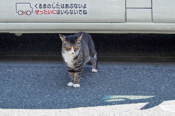 車の下は　アシメ