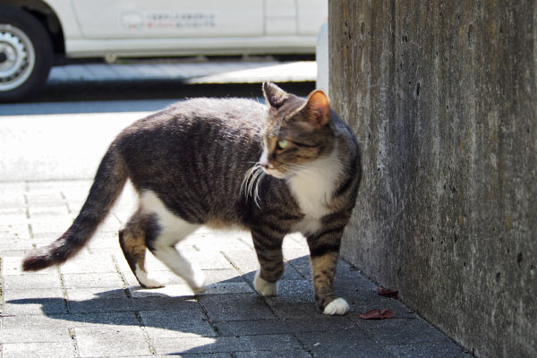 安全な場所へアシメ