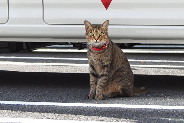 らい太　車の前