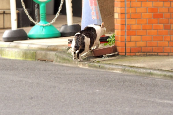 ケイ　ビルの隙間へ