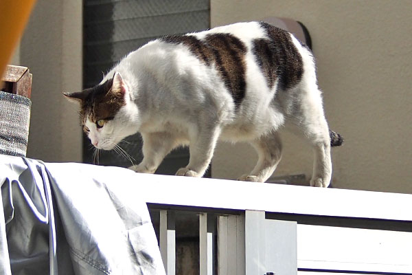 下りる場所確認　ルーフ