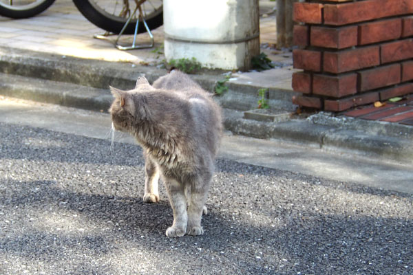 グリ　振り向く