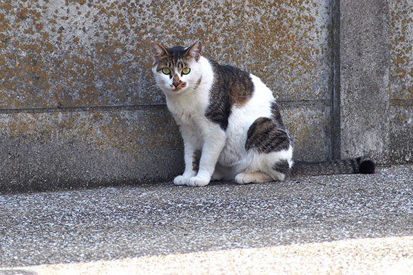 別れ際　見ているセイ